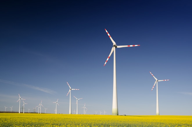 Xenvolt's Role in Asset Performance Management for Renewable Energy